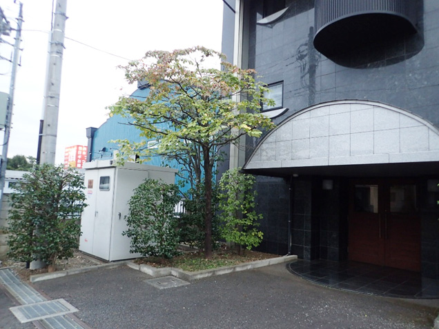 建屋敷地の植栽剪定