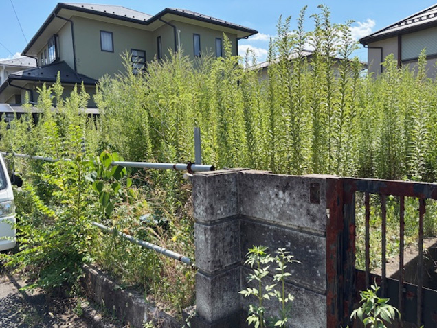 空地の除草作業を行いました。作業前