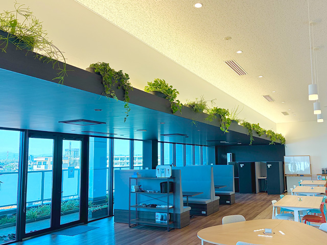 折り下げ天井に植物を設置